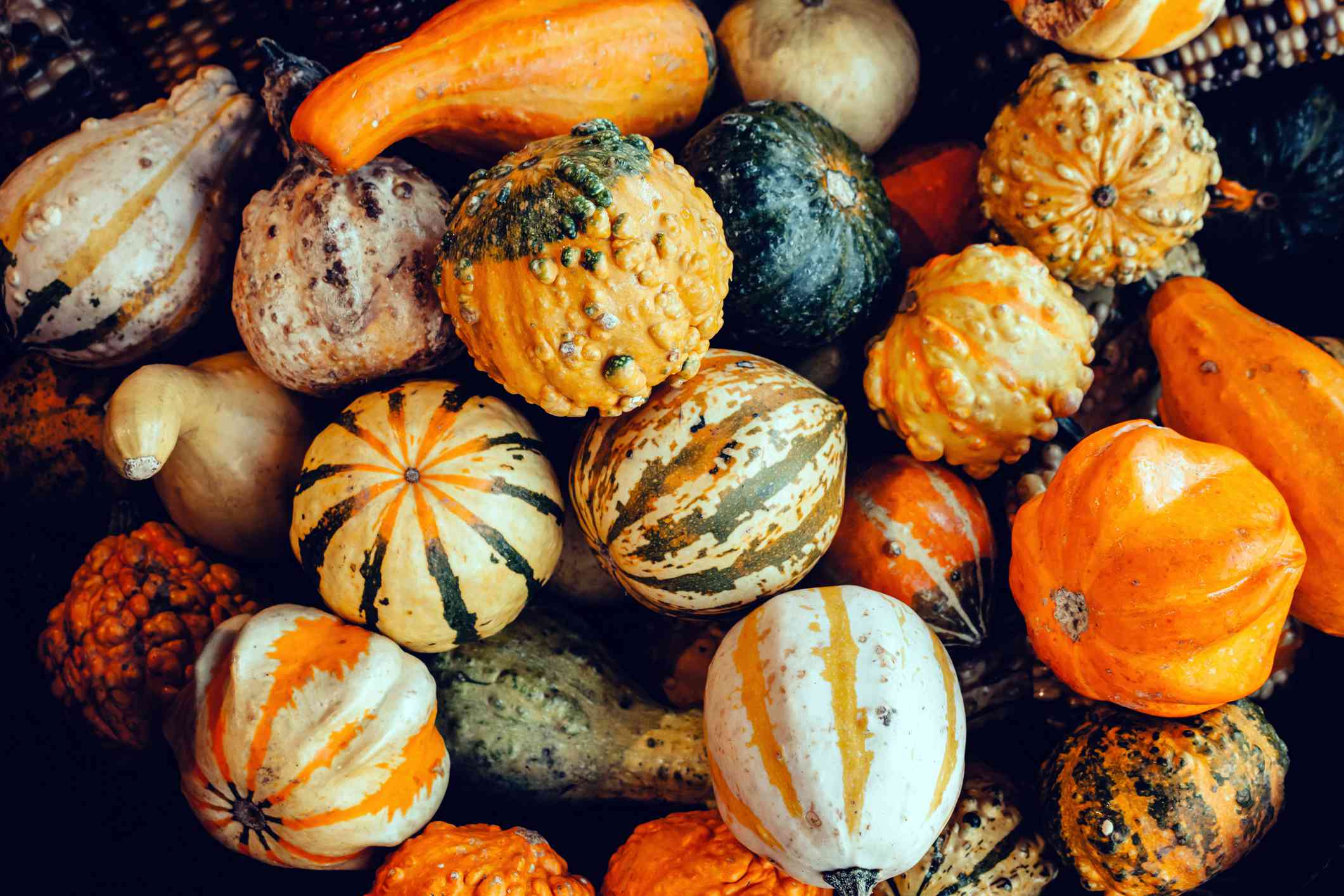 10 types of winter squash you need to know and their health benefits